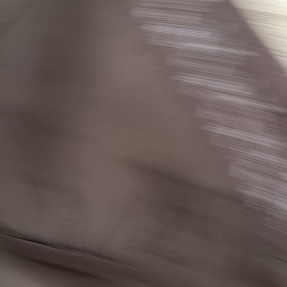 Gold Hawk Silk Lace Cami NWT XS - Picture 3 of 5